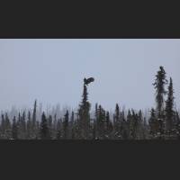0017 Dempster Hwy, NWT, Canada.jpg