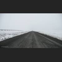 015 Pipeline, Arctic Tundra Dalton Hyw, Alaska.jpg