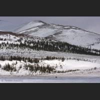 002 Grizzly, Yukon.jpg